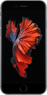 Okazja, szyba, etui gratis! Apple iPhone 6s 32GB Space Gray (gwiezdna szarość), 4.7" Retina HD 3D Touch, 12MP iSight, A9 M9, FV23% - Wysyłka gratis!